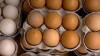 Ever Wondered About Food...? (2005)