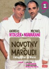 Novotny und Maroudi (2005)