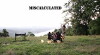 Miscalculated (2015)