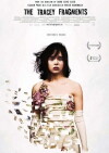 The Tracey Fragments (2007)