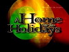 The 17th Annual 'A Home for the Holidays' (2015)
