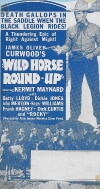 Wild Horse Round-Up (1936)