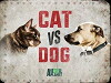 Cat Vs. Dog (2017)