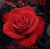 The Red Rose (2018)