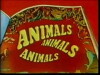 Animals, Animals, Animals (1976)