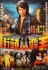Golden Fists of a Duo (1981)