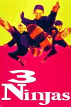 3 Ninjas (1992)