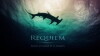 Requiem: entre l'homme et le requin (2017)