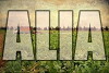 Alia (2017)