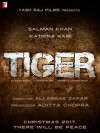 Tiger Zinda Hai (2017)