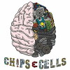 Chips and Cells (2017)