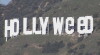 Hollyweed (2016)