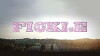 Fickle (2018)