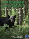 A Stranger in My Forest (1976)