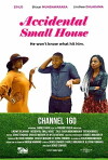 Accidental Small House (2018)