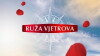 Ruza vjetrova (2011)