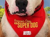 Rescue Dog to Super Dog (2016)
