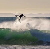 FREESURFER (2017)