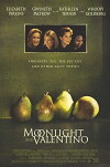 Moonlight and Valentino (1995)