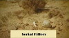 Serial Killers (2006)