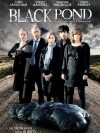 Black Pond (2011)