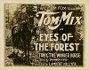 Eyes of the Forest (1923)