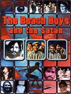 Pop Odyssee 1 - Die Beach Boys und der Satan (1997)