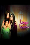 Socha Na Tha (2014)