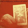 The Magickal World of Voxx (2015)