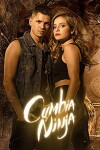 Cumbia Ninja (2013)