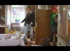 Eine für alle - Frauen können's besser (2009)