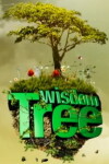 The Wisdom Tree (2008)