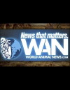 World Animal News (2015)