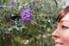 Butterfly's Lament (2015)