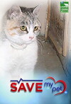 Save My Pet (2011)