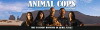 Animal Cops: Phoenix (2007)
