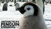 Antarctica's Penguin Emperors 3D (2013)