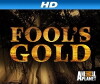 Fool's Gold (2014)