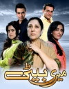 Meri Beti (2013)