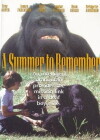 A Summer to Remember (1985)