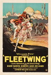 Fleetwing (1928)