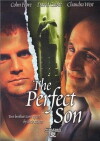 A Perfect Son (2000)