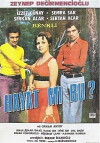 Hayat mi Bu? (1972)