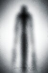 Slender (2016)
