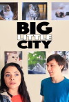 Big Little City (2017)