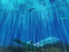 Untitled Bermuda Project (2019)
