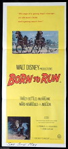 Born to Run (1977)