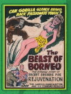 The Beast of Borneo (1934)