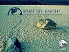 What on Earth? (2015)