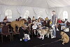Greatest American Dog (2008)